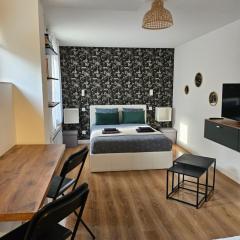 Superbe Appt avec cour et parking gratuit à 5min de la cité médiévale