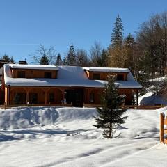 Gościejówka na skraju lasu