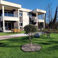 Apartmant Oliva Verde