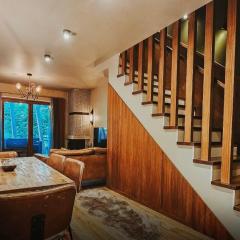 Luxury villa in Brezovica