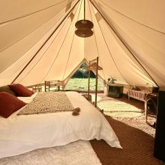 Tribu Lodge