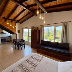 Hermoso Monoambiente Centrico en Bariloche