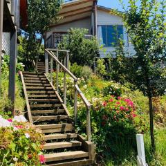 Cabañas Cristóbal 3