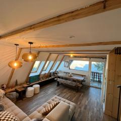 Chalet 6-8 pers St Lary Alt1700m -100mdespistes classé 4 étoiles