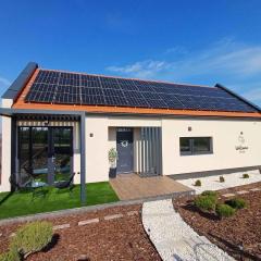 Holiday home in Eger - Ostungarn 53339