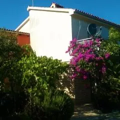 Apartment Pletikos
