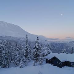 Stunning Home In Rjukan With Wifi