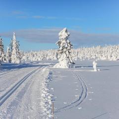 Three-Bedroom Holiday Home In Sjusjoen