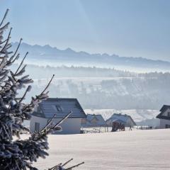 Dziewięćsił &Chaber _domki blisko lasu