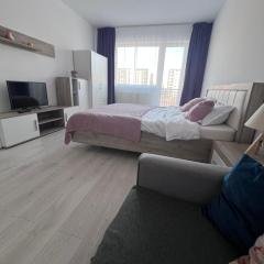 Nebele Residence Brasov-Self check in -Mall Coresi