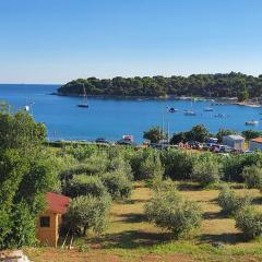 Fragrances of Istria - The Olives - on the sea of Stoia