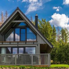 Premium Chalet in Buntenbock