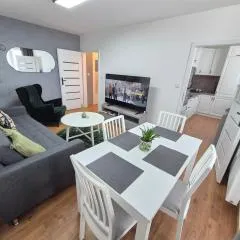 Apartmán U Zámku - Self Check in - Airport OSR Mosnov