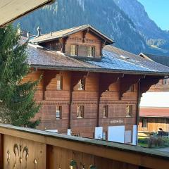 Gstaad - Luxury Flat in Saanen