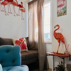 Flamingo
