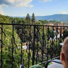Apartmani Vila Dragana Vrnjačka Banja