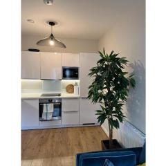 Fantastic Modern 1 Bedroom Flat in Lambeth