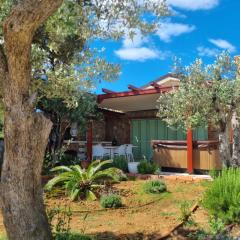 Vila s jacuzzijem i bazenom Mavrinac