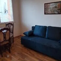 Apartment Most-Borovského