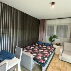 Klimatyczna kawalerka typu studio na Mokotowie blisko centrum