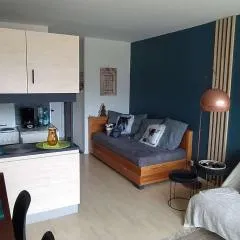 Bel appartement T2 avec vue et balcon à Barcelonnette - FR-1-804-27