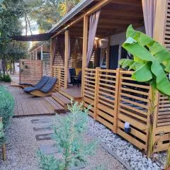 Ventura mobile home