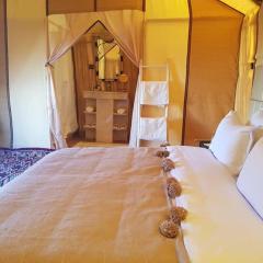 White Camp Desert Safari