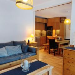 À Prapoutel : 2 pièces cabine, pied des pistes, balcon, 4ème étage - FR-1-771-60