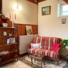 Gîte chaleureux avec sauna, près des châteaux de la Loire - FR-1-491-456