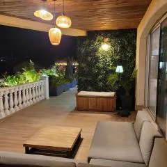 Le loft des mimosas proche de cannes