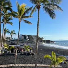 Donde Zenojal Puerto Naos