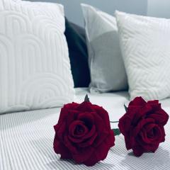 NICE VIEW centrum metro x2 WIFI 600 MBs Smart TV Panorama Miasta