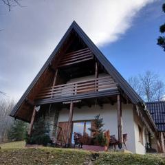 Forest house ALEKSANDAR