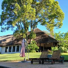 A Night at the Museum