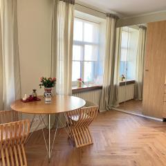 Brand new apartment in a historical location