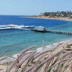 Central Acquamarine suite whit terrace