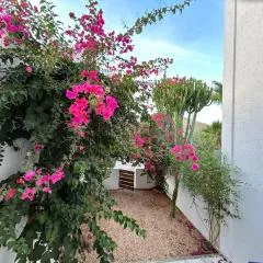 Casa Gata