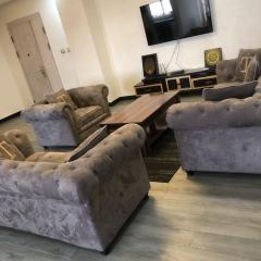 Penthouse in the city center