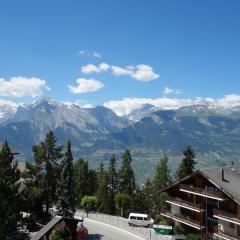 Centrally-located apartment in Veysonnaz