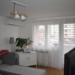 Apartman Milicevic