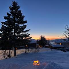 New luxurious Aurora apartment