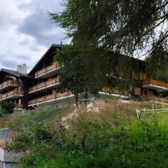 Apartment in Veysonnaz near Ski Lift