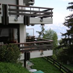 Apartment in Veysonnaz near Cable Car