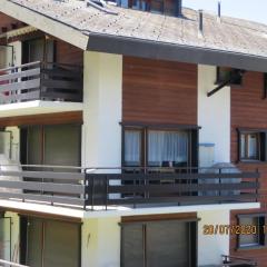 Cosy apartment in a central location