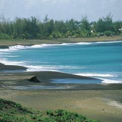 Appt Luxe Corail Bleu 6 pers 50m Plage