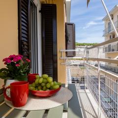 Chrysallida Apartment