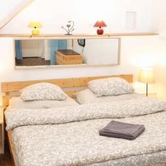 Old Town & Parking Assistance