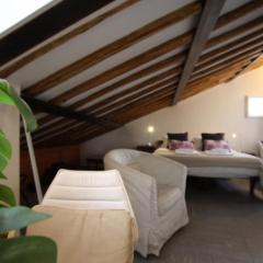 Il Nido sui Tetti di Piazza Navona