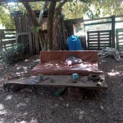 Shambalah roots camp