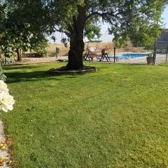 El Almendro del Cura
